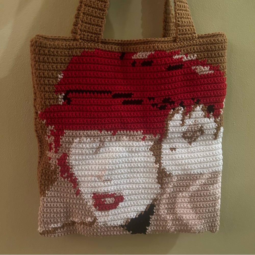 Taylor Swift Crochet Bag